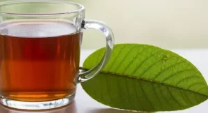 Benefícios do Chá de Folha de Goiaba - Conheça