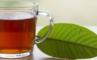 Benefícios do Chá de Folha de Goiaba - Conheça